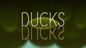 AJ_DUCKS_TITLE_4k